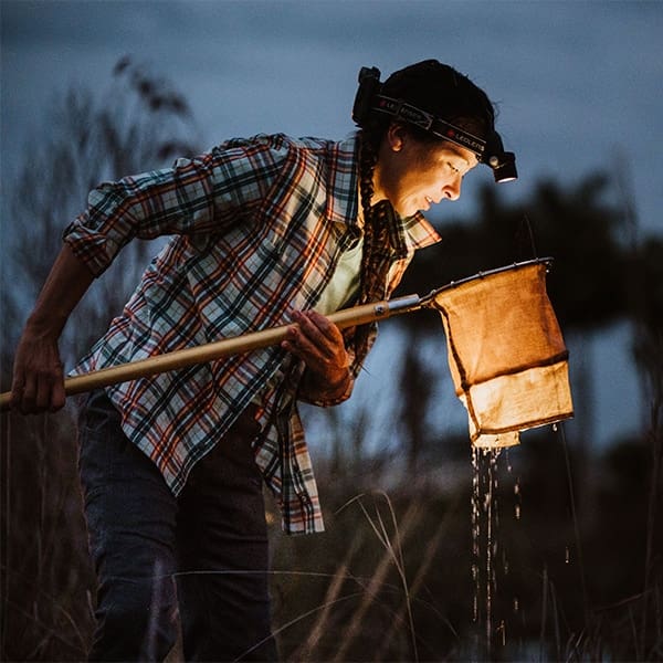 An individual in a plaid shirt and headlamp, intently sifting through a netted scoop in the dim light, with tall grasses around and a soft twilight backdrop, captured by Nathalie DuPré Photography.
